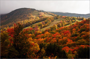 Fall Foliage Scenic Drive in Maine