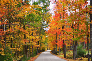 Fall Foliage Scenic Drive in New Hampshire