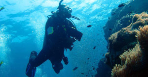 Dive Centres Specialise Snorkelling Scuba Diving Education